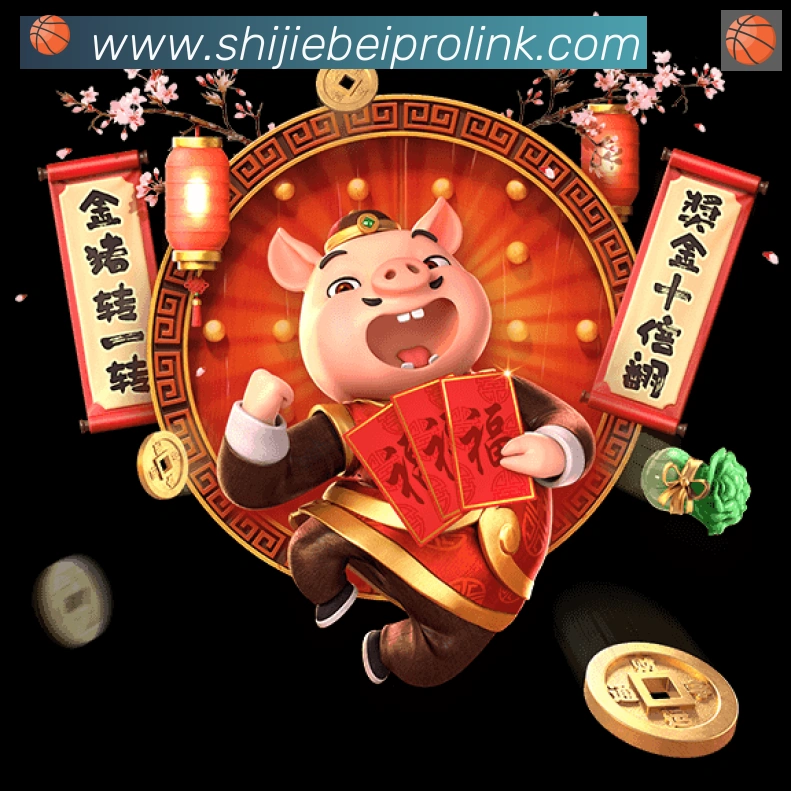 战术分析频道