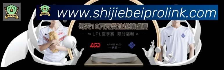 奖项证书